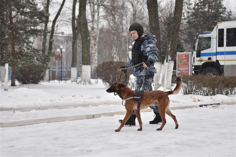 В Московском президентском кадетском училище имени М.А. Шолохова войск национальной гвардии Российской Федерации проведено чествование военных инженеров Росгвардии