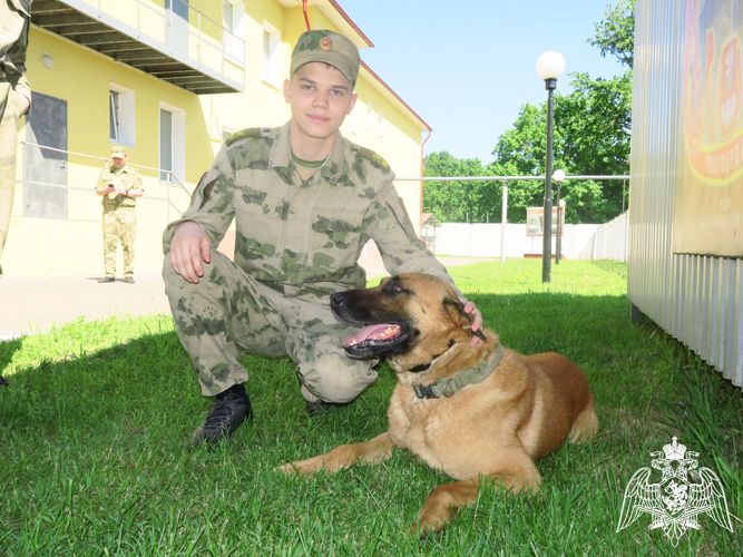 Военно-полевые сборы