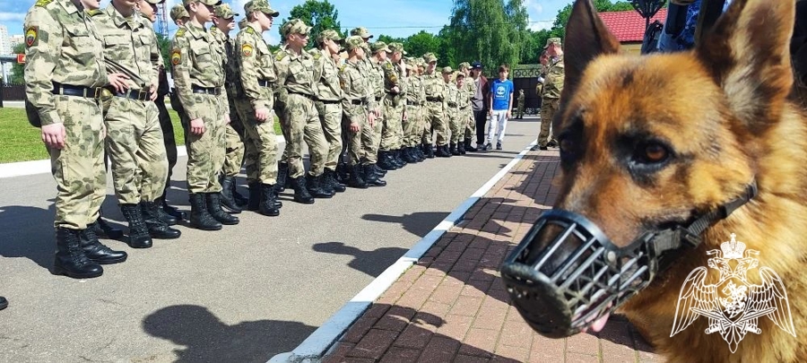 ВОЕННО-ПОЛЕВЫЕ СБОРЫ