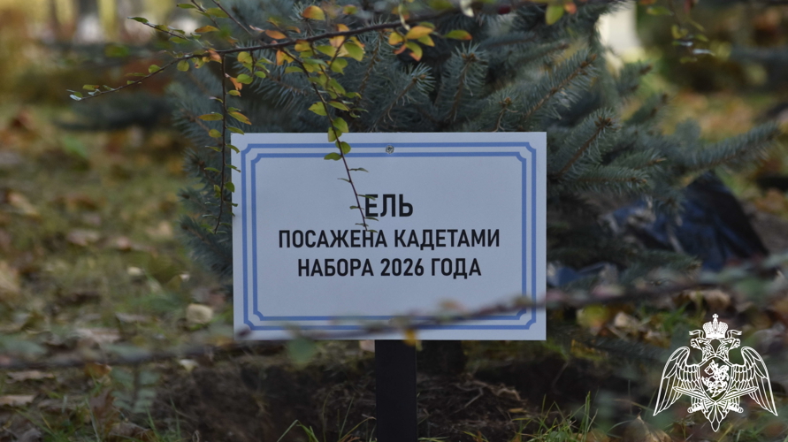 Кадеты 5 класса заложили новую аллею на территории училища